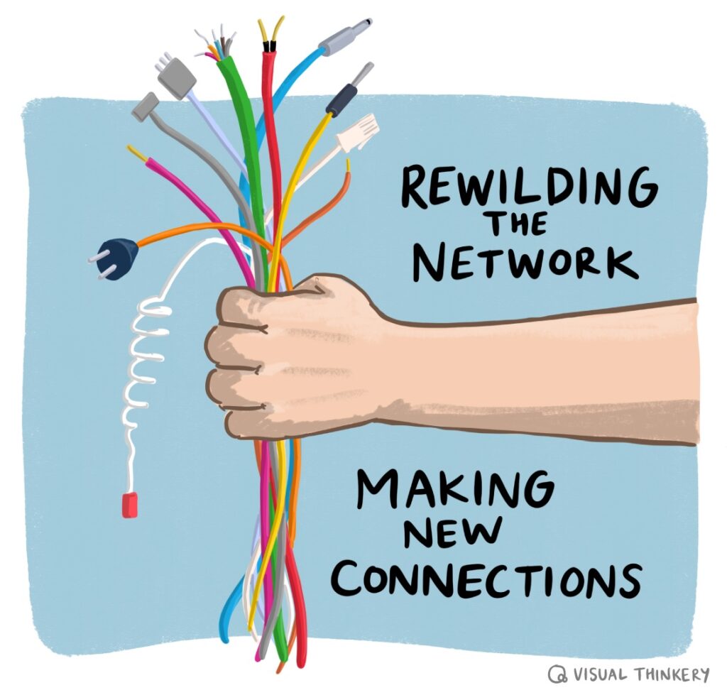 Reclaim Open – Rewilding the Network
