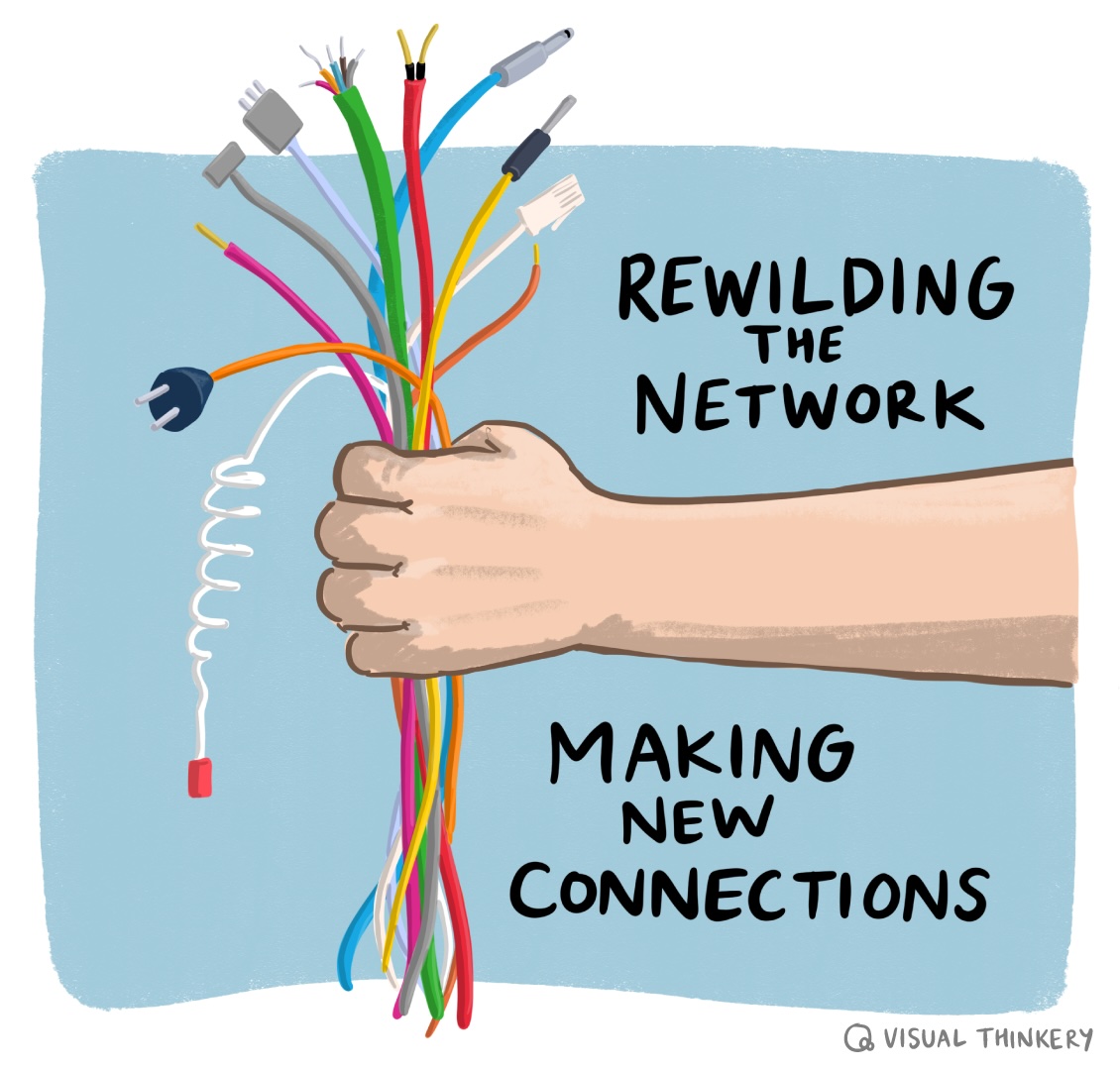 Reclaim Open – Rewilding the Network