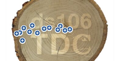 The Daily Create Tree Ring Timeline